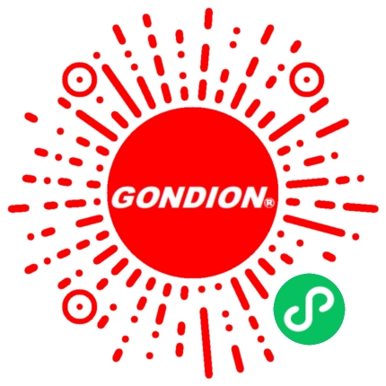 工典Gondion香港网站服务